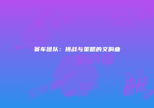 赛车团队：挑战与策略的交响曲