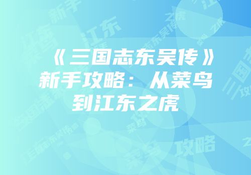 《三国志东吴传》新手攻略：从菜鸟到江东之虎