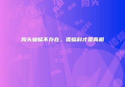 狗头蝙蝠不存在，狐蝠科才是真相