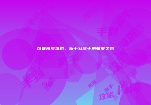 风暴海湾攻略：新手到高手的蜕变之路