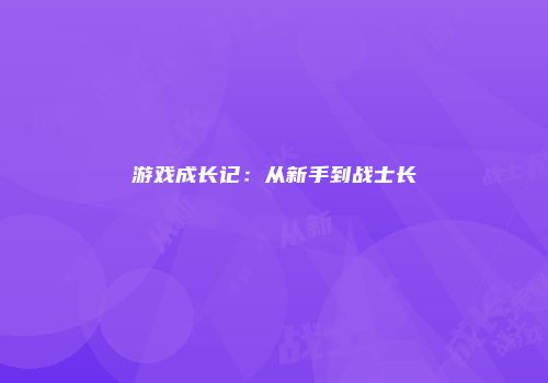 游戏成长记：从新手到战士长