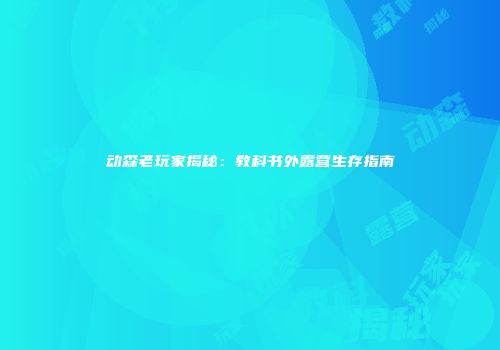 动森老玩家揭秘：教科书外露营生存指南