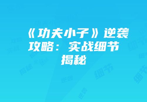 《功夫小子》逆袭攻略：实战细节揭秘