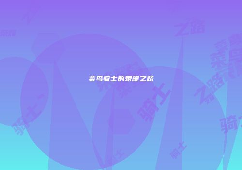 菜鸟骑士的荣耀之路