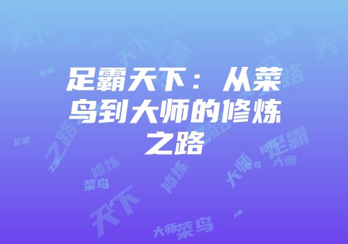 足霸天下：从菜鸟到大师的修炼之路