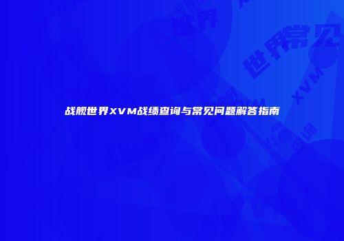 战舰世界XVM战绩查询与常见问题解答指南