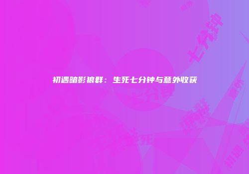 初遇暗影狼群：生死七分钟与意外收获