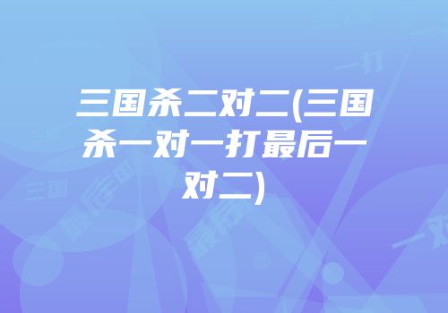 三国杀二对二(三国杀一对一打最后一对二)
