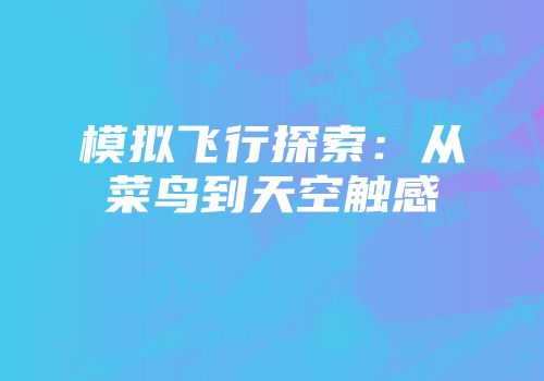 模拟飞行探索：从菜鸟到天空触感