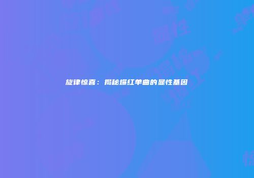 旋律惊喜：揭秘爆红单曲的显性基因