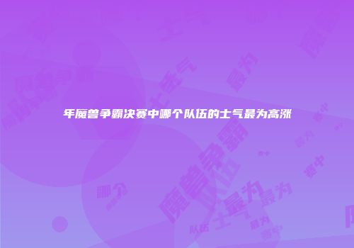 年魔兽争霸决赛中哪个队伍的士气最为高涨