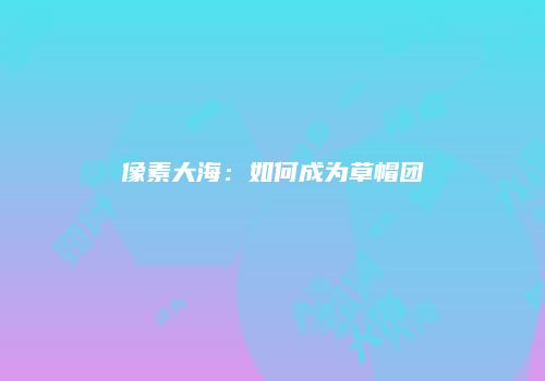 像素大海：如何成为草帽团