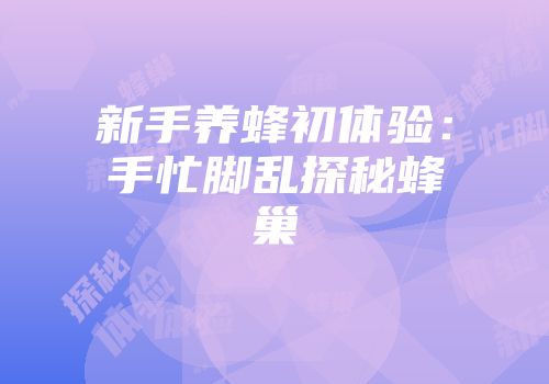 新手养蜂初体验：手忙脚乱探秘蜂巢