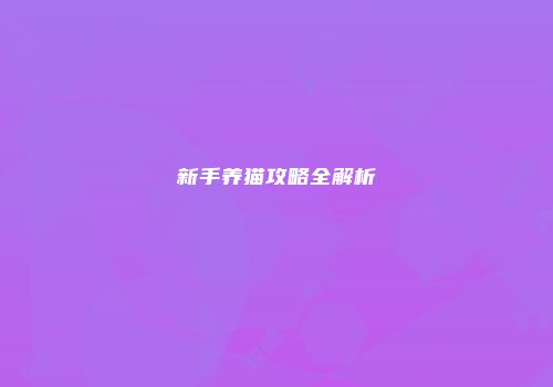 新手养猫攻略全解析