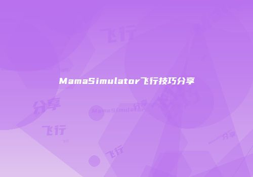 MamaSimulator飞行技巧分享