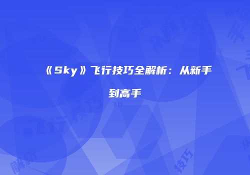 《Sky》飞行技巧全解析：从新手到高手