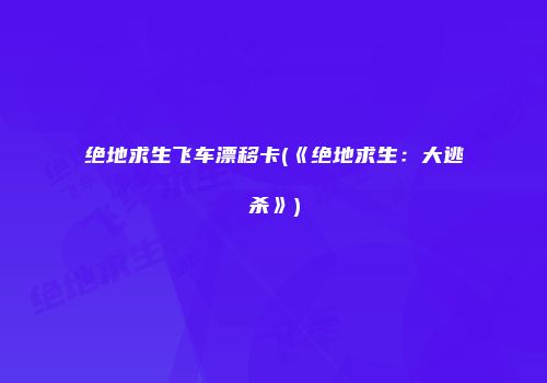 绝地求生飞车漂移卡(《绝地求生：大逃杀》)