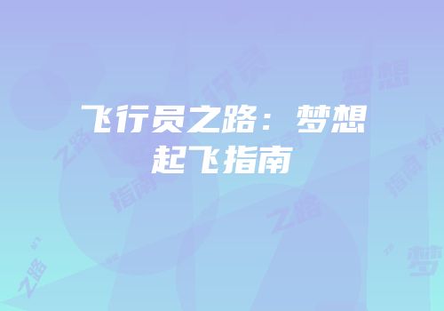 飞行员之路：梦想起飞指南