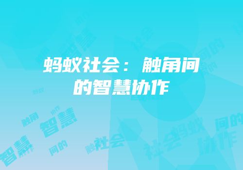 蚂蚁社会：触角间的智慧协作