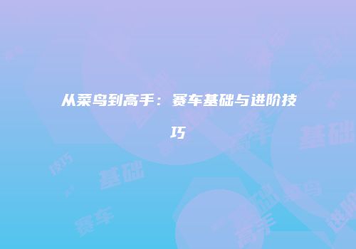 从菜鸟到高手：赛车基础与进阶技巧