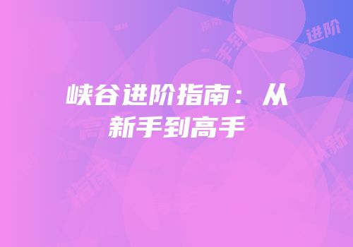 峡谷进阶指南：从新手到高手