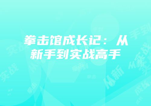 拳击馆成长记：从新手到实战高手