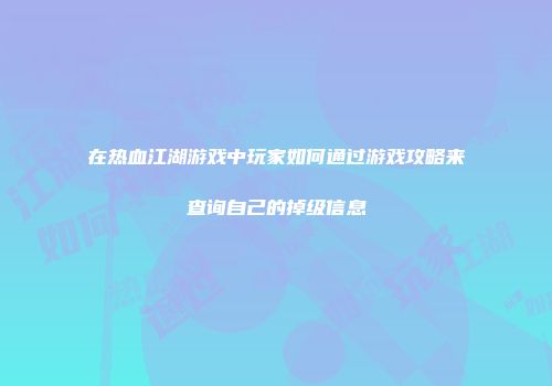 在热血江湖游戏中玩家如何通过游戏攻略来查询自己的掉级信息