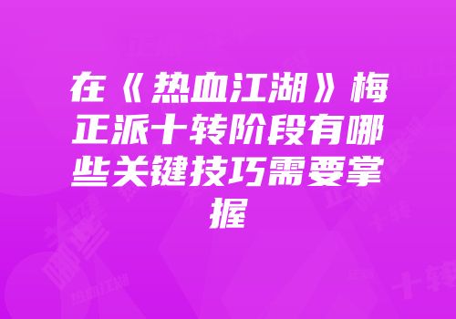 在《热血江湖》梅正派十转阶段有哪些关键技巧需要掌握