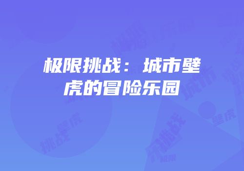 极限挑战：城市壁虎的冒险乐园