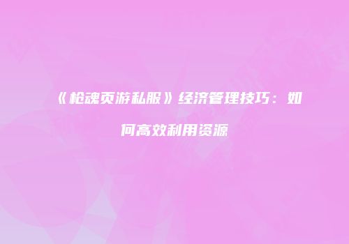 《枪魂页游私服》经济管理技巧：如何高效利用资源