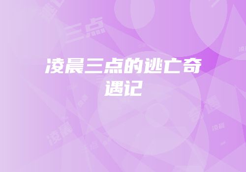 凌晨三点的逃亡奇遇记
