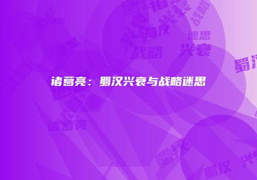 诸葛亮：蜀汉兴衰与战略迷思