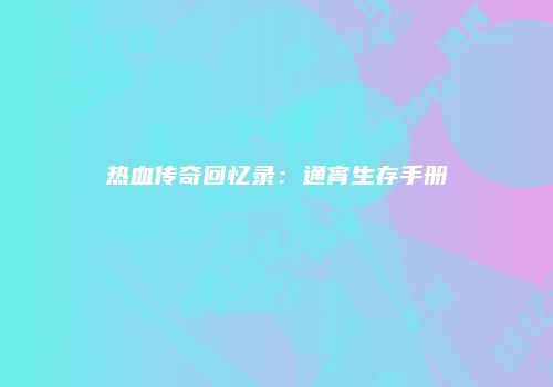 热血传奇回忆录：通宵生存手册