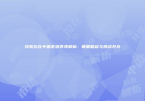 特斯拉在中国市场表现解析：销量崛起与挑战并存