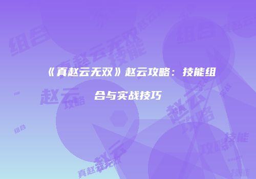 《真赵云无双》赵云攻略：技能组合与实战技巧