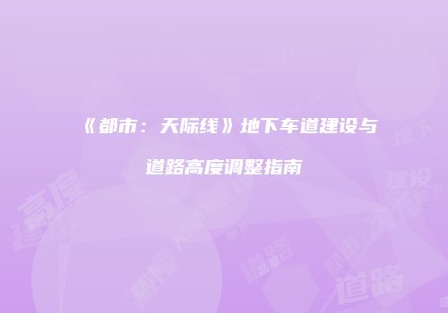 《都市：天际线》地下车道建设与道路高度调整指南