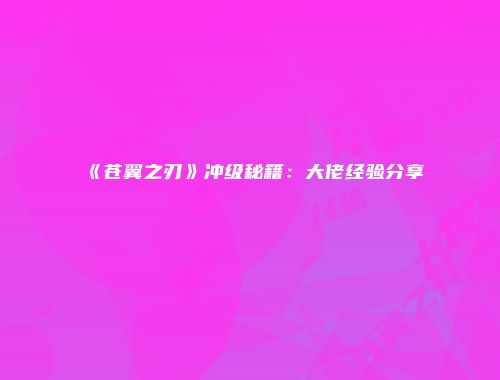 《苍翼之刃》冲级秘籍：大佬经验分享