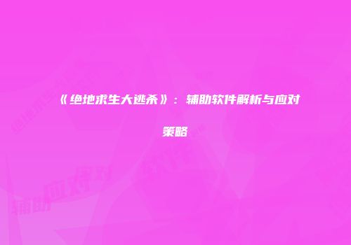 《绝地求生大逃杀》：辅助软件解析与应对策略