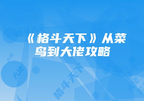 《格斗天下》从菜鸟到大佬攻略