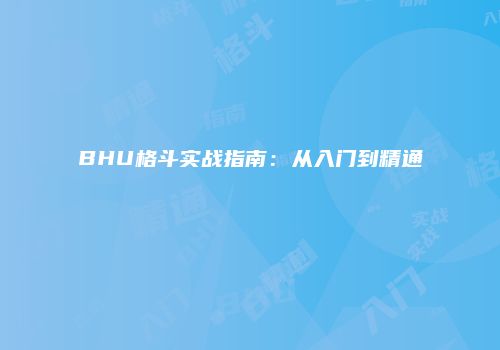 BHU格斗实战指南：从入门到精通