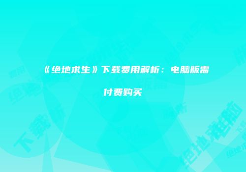 《绝地求生》下载费用解析：电脑版需付费购买