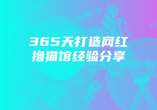365天打造网红撸猫馆经验分享