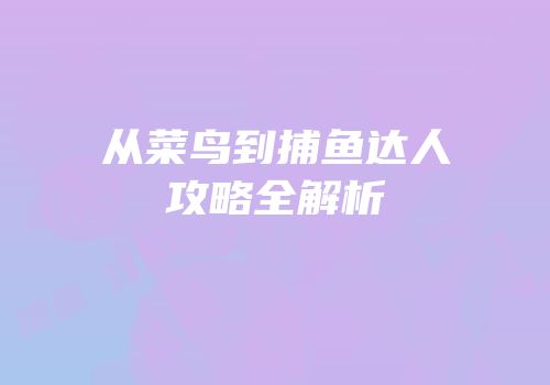 从菜鸟到捕鱼达人攻略全解析