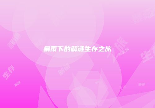 暴雨下的解谜生存之旅