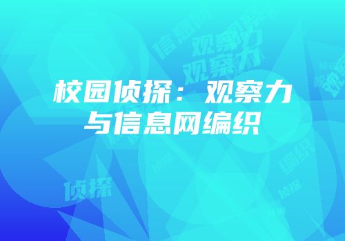 校园侦探：观察力与信息网编织