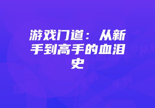 游戏门道：从新手到高手的血泪史