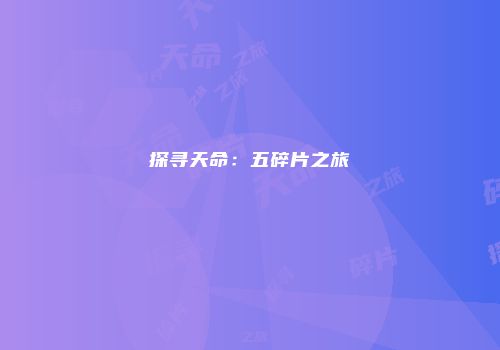 探寻天命：五碎片之旅