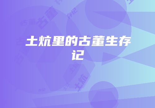 土炕里的古董生存记
