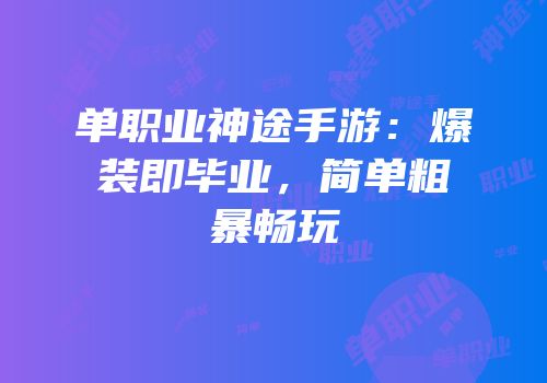 单职业神途手游：爆装即毕业，简单粗暴畅玩