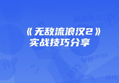 《无敌流浪汉2》实战技巧分享